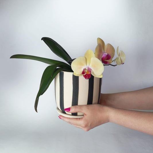 Ceramic vase with tray, Orchid pot 